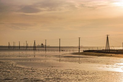 🐚 에가와 해안 갯벌 체험장 (에가와카이간 시오히가리바) 이미지 8
